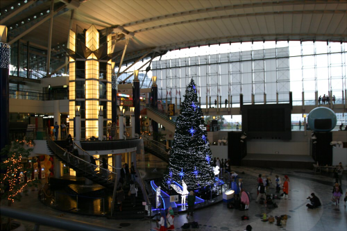 20081117img_3489.jpg