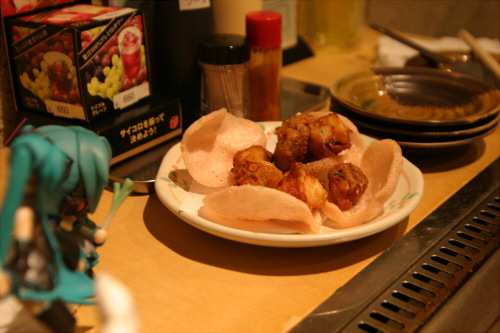 20081117img_3555.jpg