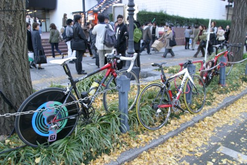 20081130img_3829_500.jpg
