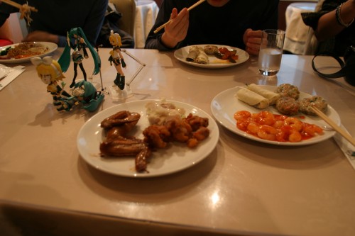 20081130img_3832_500.jpg