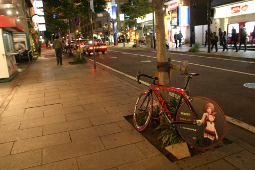 20081130img_3836_500.jpg