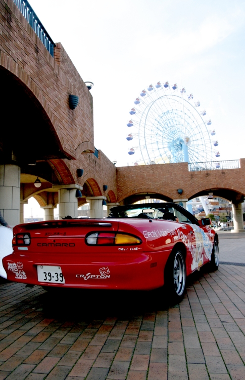 20090301img_4812_750.jpg