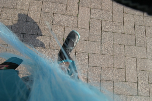 20090301img_4823_500.jpg