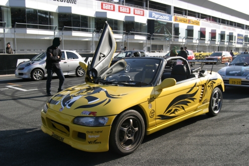20090315img_5349_500.jpg